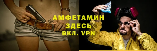 гидра Аркадак