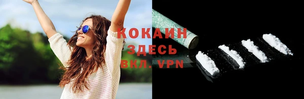 гидра Аркадак