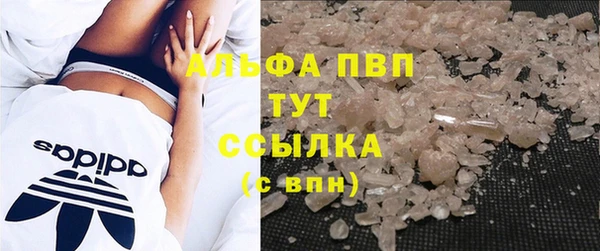 гидра Аркадак