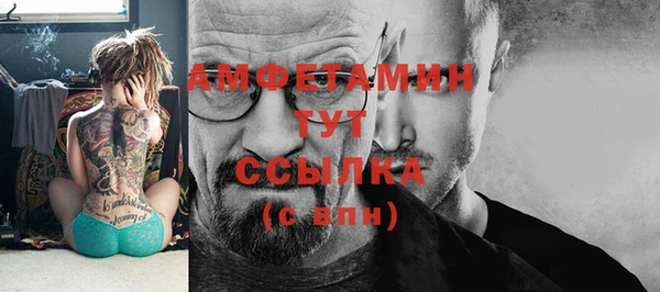 гидра Аркадак